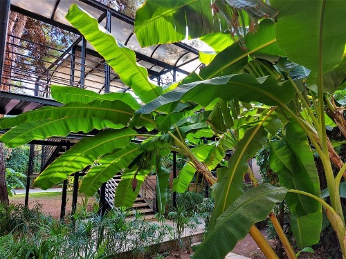 Çetinel Otel image 15